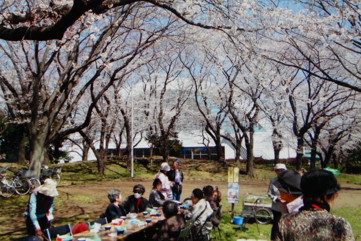 お茶会